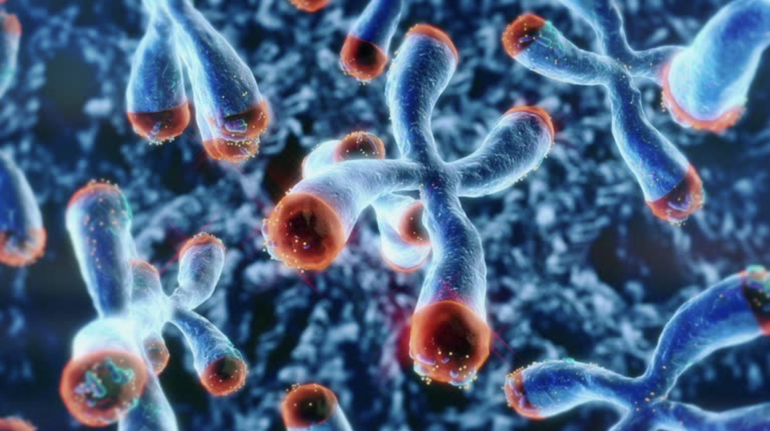 Unraveling DNA Mysteries: Anunnaki, Telomeres, and DNA Repair Course